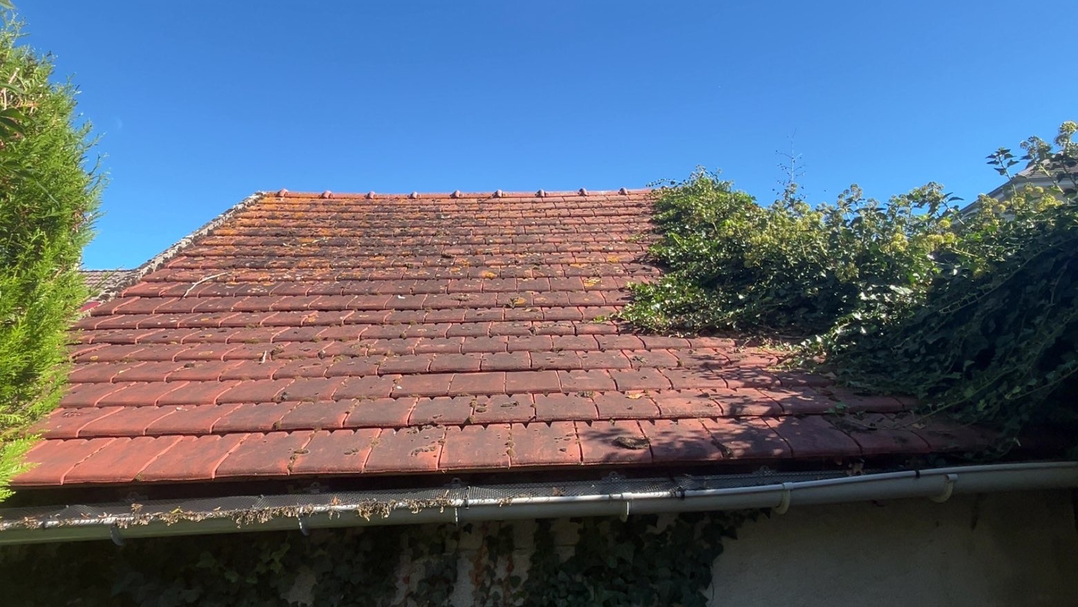 Avant : lierre et lichen sur la toiture en tuiles rouges de la dépendance, Gurgy