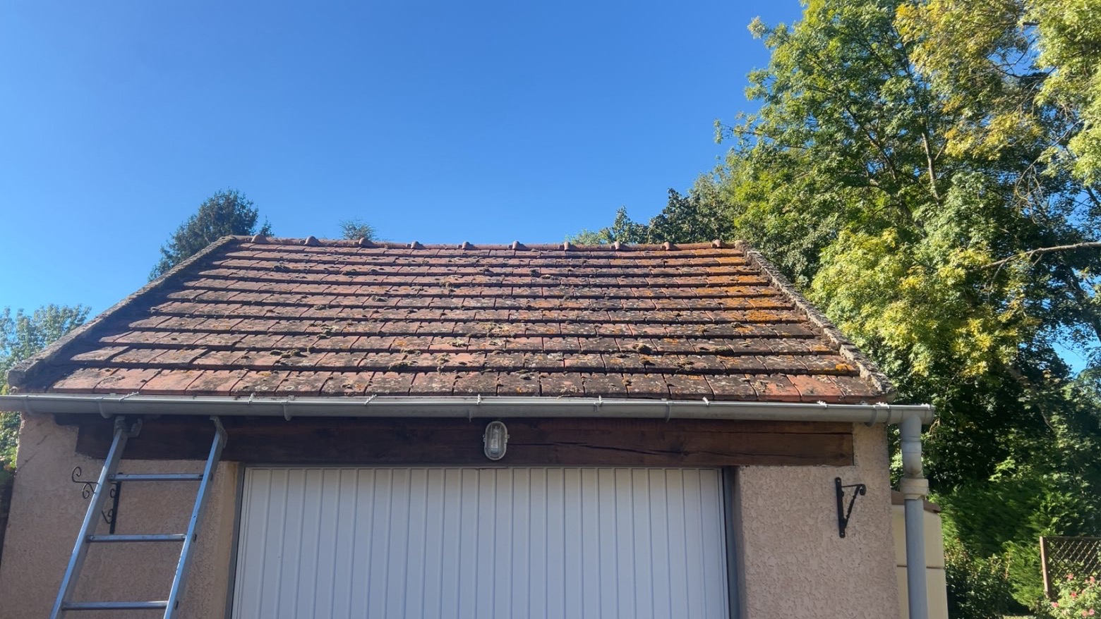 Mousse épaisse et lichen sur un toit de garage, Gurgy