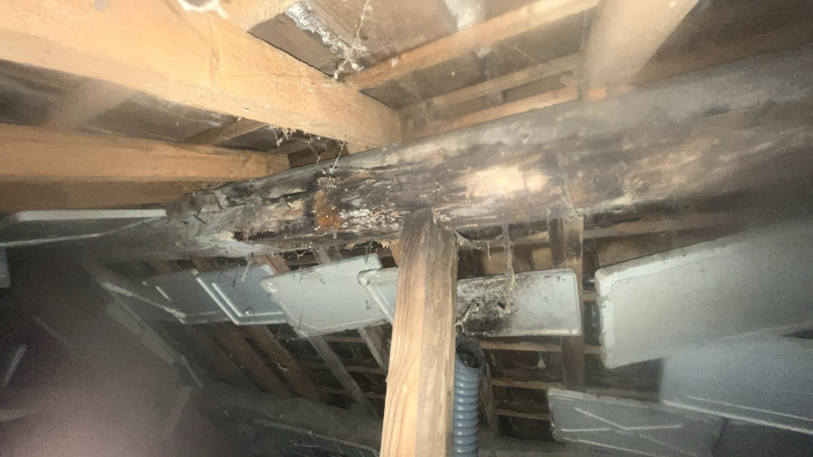 Charpente abîmée sous une faîtière, vue depuis les combles
